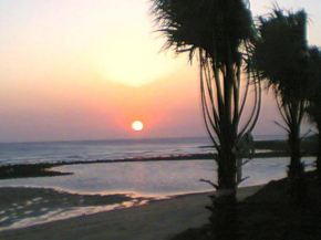 Villa Malyma beach front 10,000m2 botanic garden, Zahora
